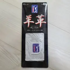 ゴルフ グローブ メンズ 22