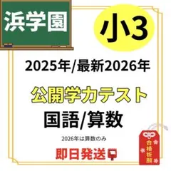 2026年最新】浜学園 公開テスト 小2の人気アイテム - メルカリ