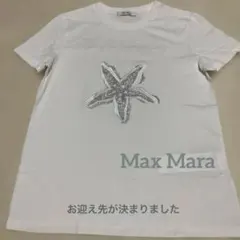 【新品に近い・美品】Max Mara 刺繍Tシャツ size Sのサムネイル