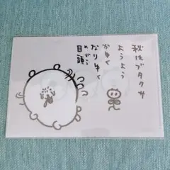 ナガノマーケット ノベルティ A5クリアファイル(ブタクサ)