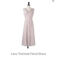 Lace Trimmed Floral Dress / nude rose