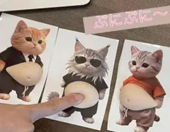 SNSで話題♡猫シール　お腹ぷにぷに　ワイルド猫サングラス猫　10枚セット