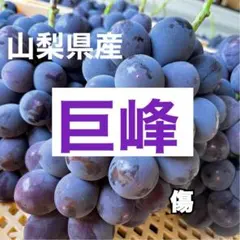 山梨県　巨峰　葡萄　ぶどう　傷ありのサムネイル