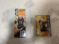 ハイキュー‼︎日向翔陽　2点セット！