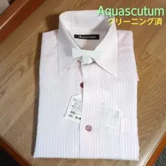 Aquascutum オーダー 長袖 シャツ ピンク 縞 綿麻夏 クリーニング済のサムネイル