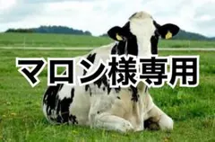 オレンジ3、赤オレンジ3