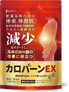 27.11 カロバーンEX 30日分 肥満気味の方の体重 体脂肪の減少を助けるのサムネイル