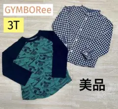 Item thumbnail for item 87aa001a-8e33-4deb-9ff0-b22df3a9c9fb