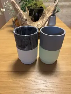 DOUBLE LINE bk15 バックサイドワークス　植物鉢 BOTANIZE × Backside works コラボ鉢 S,Mセット