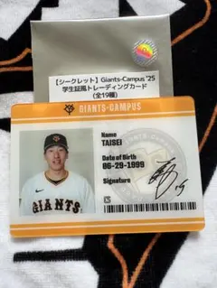 大勢 応援グッズ