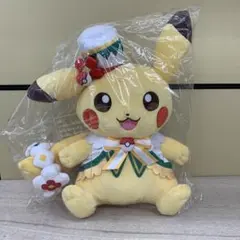 ポケパークカントー 限定 特大 ピカチュウ　ぬいぐるみ ポケパークカントー ピカチュウ ぬいぐるみ 特大 限定 【公式通販】