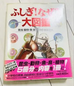 Item thumbnail for item 25631413-8a12-41dc-a667-c7d14e97a0b1