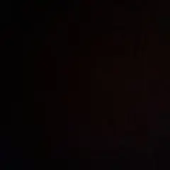 ハッシー　様　専用