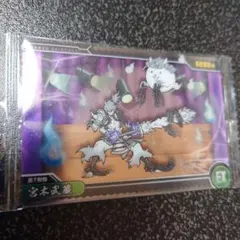 にゃんこ大戦争 ウエハース 宮本武蔵　EX