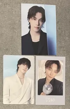 SEVENTEEN セブチ NEW_トレカ/インスタントフォト　ディノ　イルコン