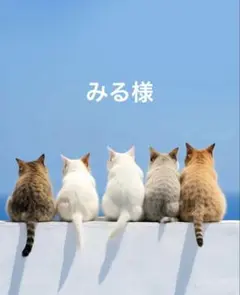 みる様ꔛ‬ෆ専用ページ