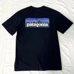Patagonia パタゴニア P-6 ロゴ ポケット Tシャツ ブラック S