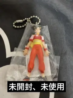 鉄拳 かっこいいキーホルダー リン・シャオユウ
