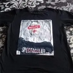 メンズ 半袖 Tシャツ Lサイズ レディース