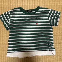 POLO 緑と白ストライプ Tシャツ 半袖のサムネイル