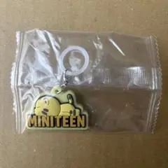 SEVENTEEN MINITEEN めじるしアクセサリー ホシ