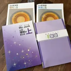 Item thumbnail for item 39807679-097e-40c8-aea8-1ee1fe170a6d