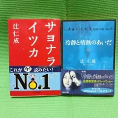 辻仁成 サヨナライツカ 冷静と情熱のあいだ Blu 文庫2冊セット