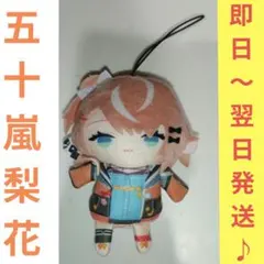 2025年最新】五十嵐梨花 にじぬいの人気アイテム - メルカリ