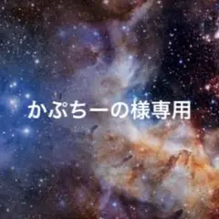 かぷちーの様 リクエスト 2点 まとめ商品