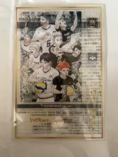 ハイキュー!!✖️スポルティーバ　アクリルパネル