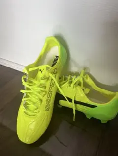Puma EVOSPEED