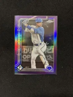 Item thumbnail for item e02487ef-8163-45d7-9a8f-318d0131ad53