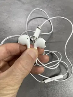 ライトニング イヤホン Apple EarPods Lightning