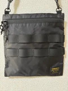 Item thumbnail for item 4ea352d7-d5a8-4caa-a764-9eab5e85e9c4