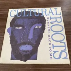 roots magazine 14冊セット 名古屋ストリートカルチャー - メルカリ