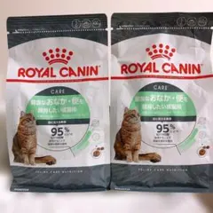 Item thumbnail for item 4b8ea4ee-6e93-43a2-b306-2b8f3357d2a1