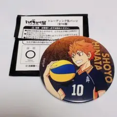 ハイキュー‼︎ゴミ捨て場の決戦展 缶バッチ 月島 劇場版 ハイキュー‼︎ ゴミ捨て場の決戦展 缶バッチ 月島蛍 - メルカリ