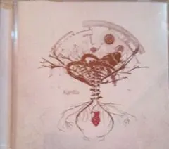 2026年最新】Kardia ユリイ・カノンの人気アイテム - メルカリ