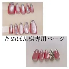たぬぽん様専用ページ 2点セット フルサイズネイルチップ