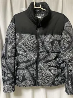 ZARAペイズリーダウン