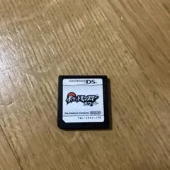 ポケットモンスター ホワイト、ニンテンドーDS用ゲームカード