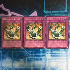 2026年最新】強烈なはたき落としの人気アイテム - メルカリ