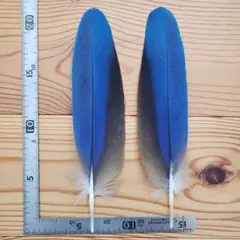 ケロヨシ様 リクエスト 3点 まとめ商品