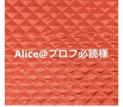 Alice@プロフ必読様専用