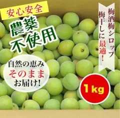 自然栽培】青梅1キロ 岩手県産 白加賀 - メルカリ