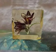 花のオブジェ　アクリル封入　植物標本　ドライフラワー レジン　ヴィンテージ