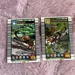 ムシキングカード 2003年カードまとめ売り ファイル付き - メルカリ