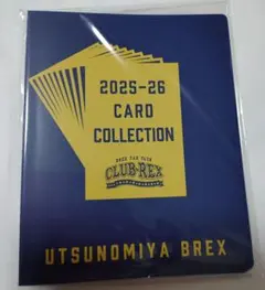 宇都宮ブレックス　トレーディングカードフォルダー
