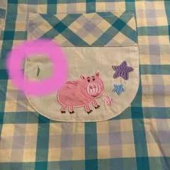 Item thumbnail for item 1d6c495c-2f05-46f5-beca-81bcbe54b2a5