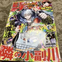 週刊少年ジャンプ 2025年 49号 1冊